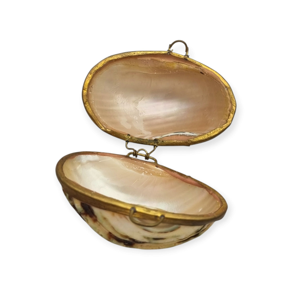 Vintage natural seashell coin purse with a gold-tone metal frame, Europe, first half of the 20th century