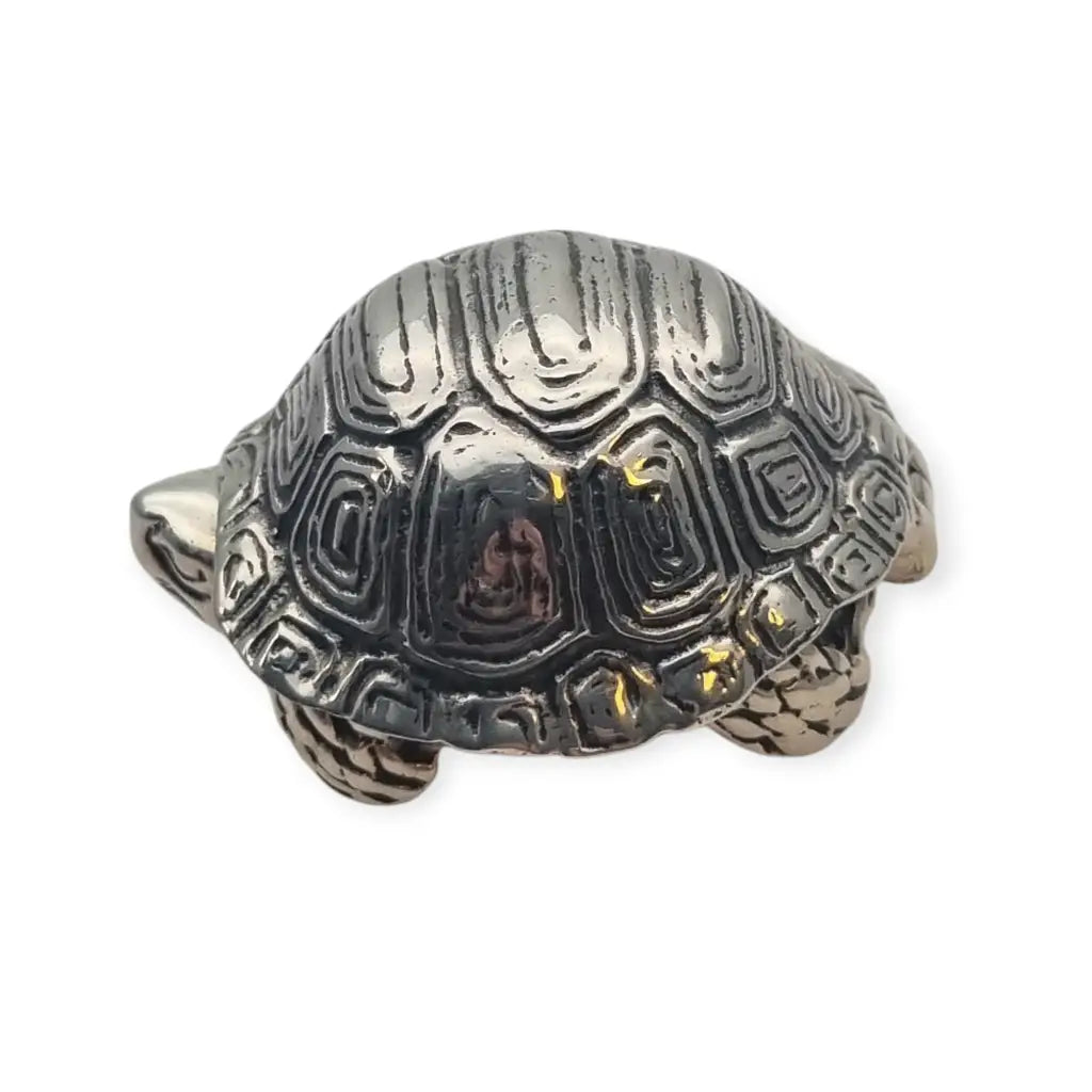Antigua caja tortuga de plata esterlina miniauras colección Siglo XX.