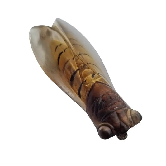 Broche de cigarra francesa vintage para mujer años 20 joyería antigua