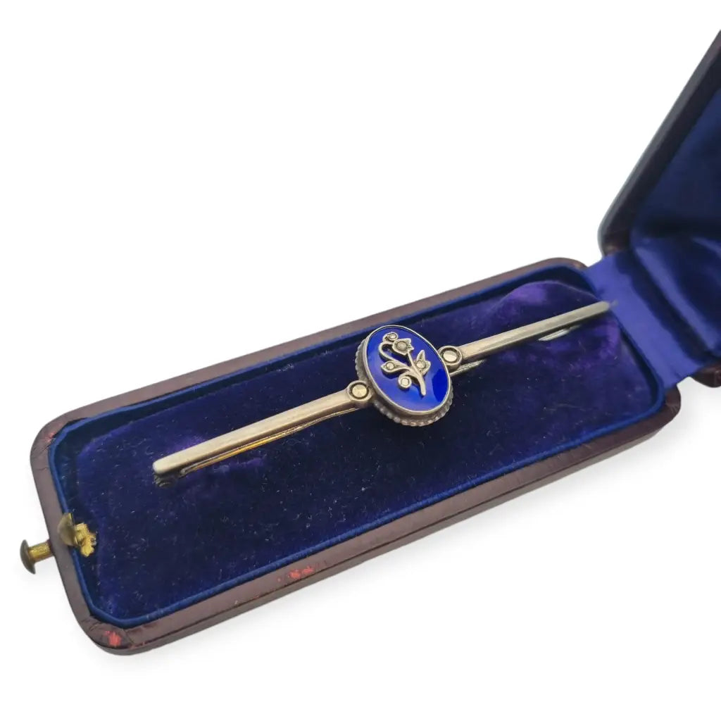 Broche estilo victoriano en plata con esmalte azul incluye caja original.