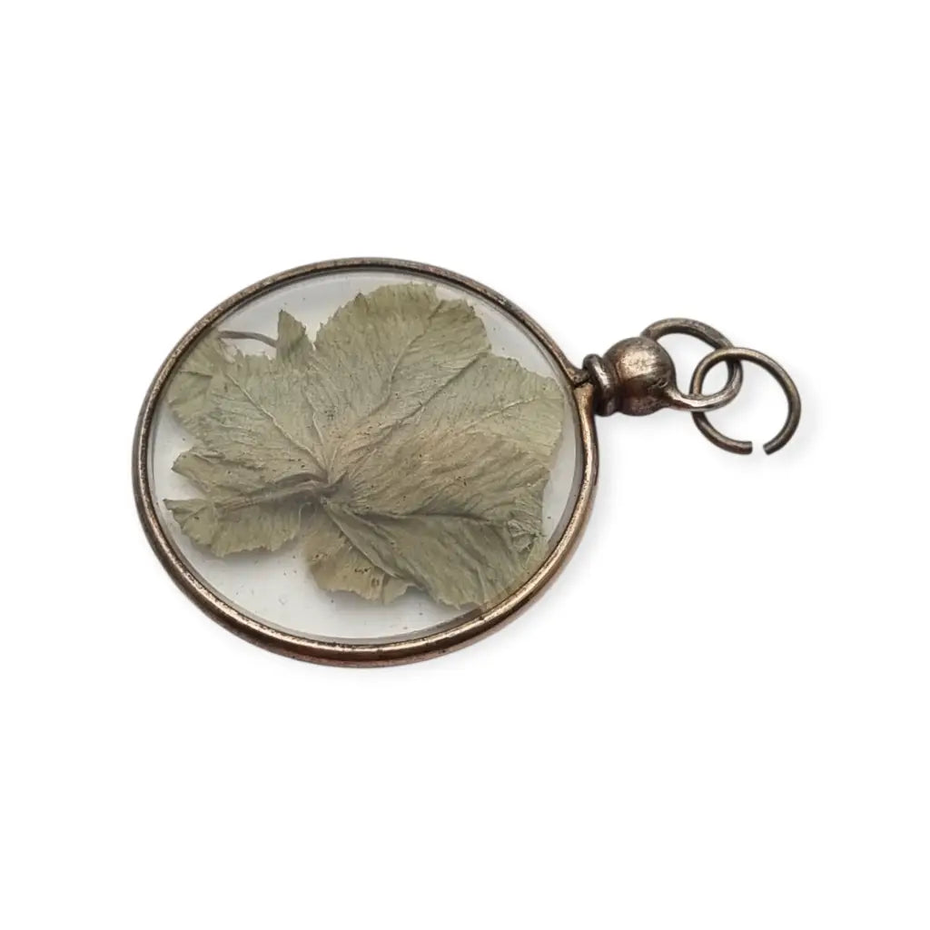 Colgante Guardapelo para fotos antiguo con flor natural seca bajo cristal 1940.