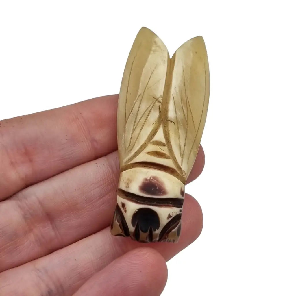 Broche de cigarra francesa vintage para mujer años 20 joyería antigua