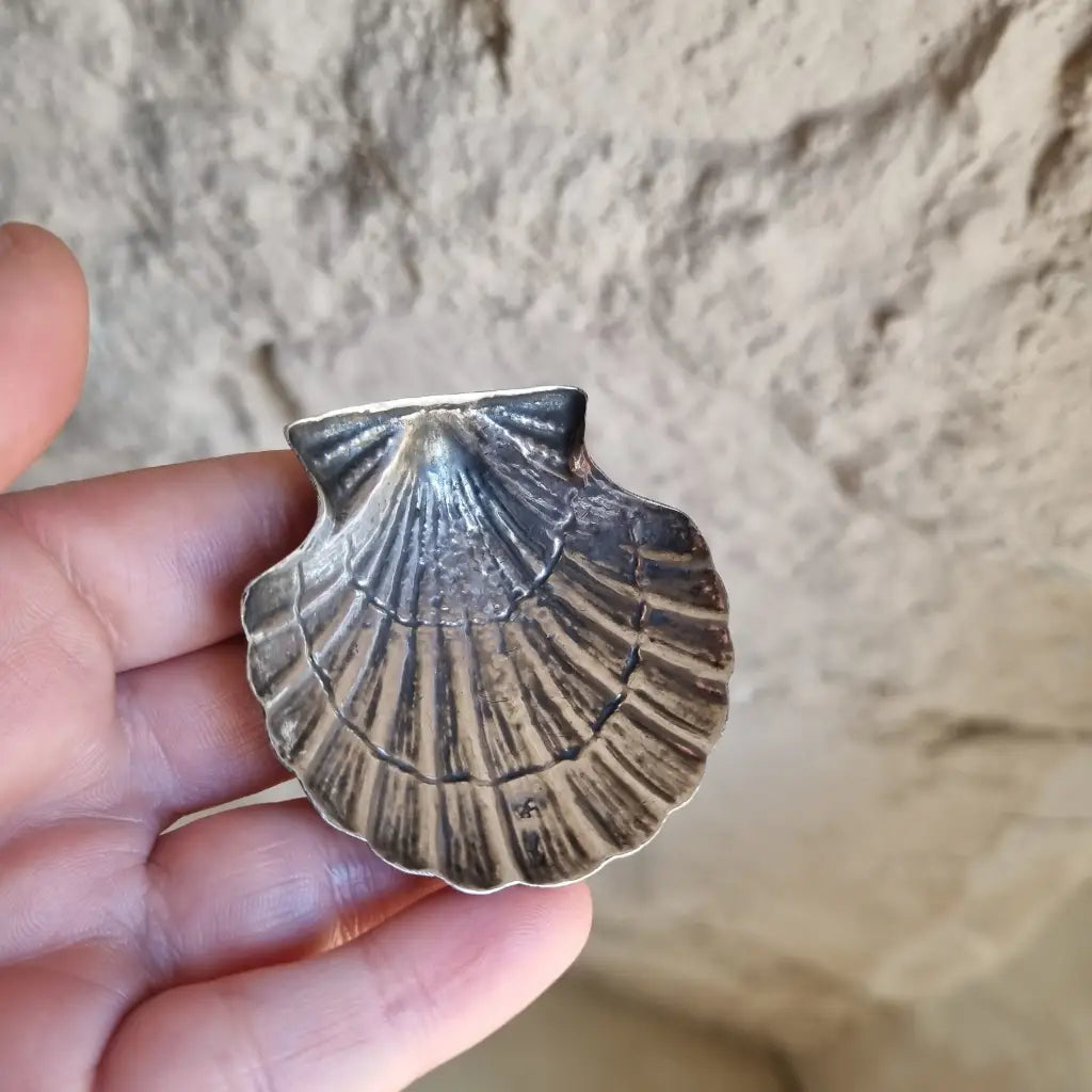 Plato de plata en forma concha bandeja pequeña plata.