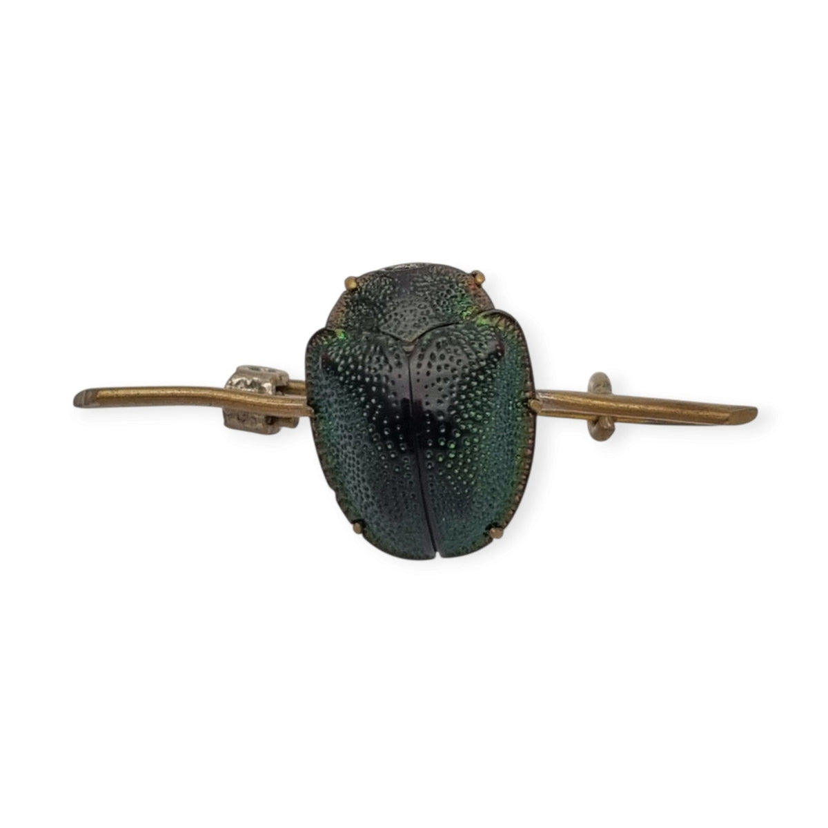 Antique Victorian Egyptian Revival brooch with real scarab in gold-tone metal, ca. 1880-1905