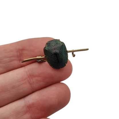 Antique Victorian Egyptian Revival brooch with real scarab in gold-tone metal, ca. 1880-1905