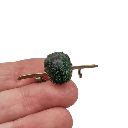 Antique Victorian Egyptian Revival brooch with real scarab in gold-tone metal, ca. 1880-1905