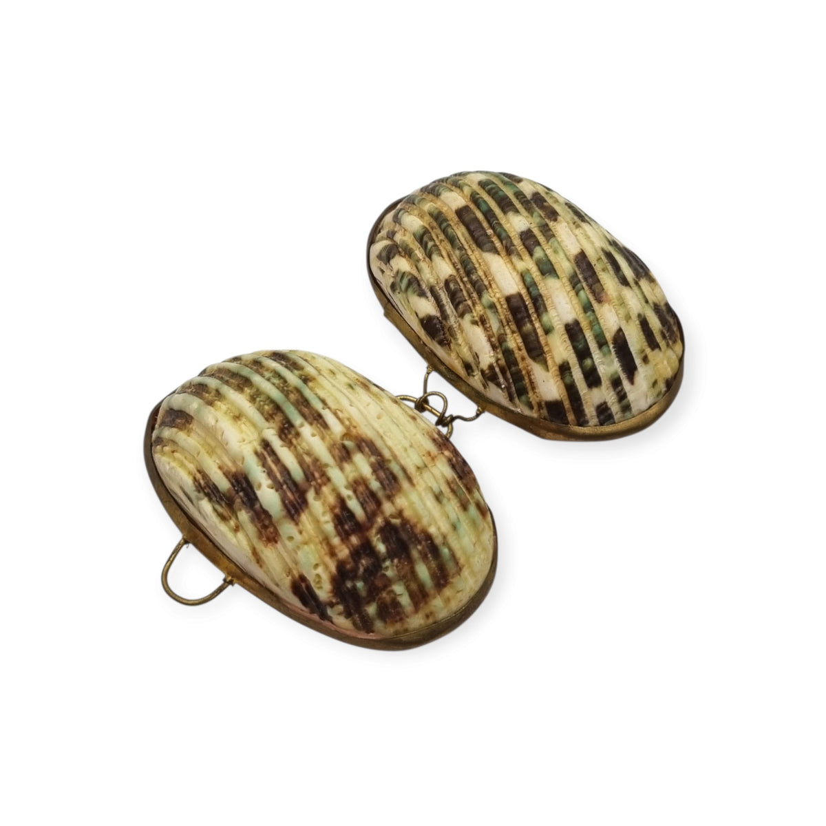 Vintage natural seashell coin purse with a gold-tone metal frame, Europe, first half of the 20th century