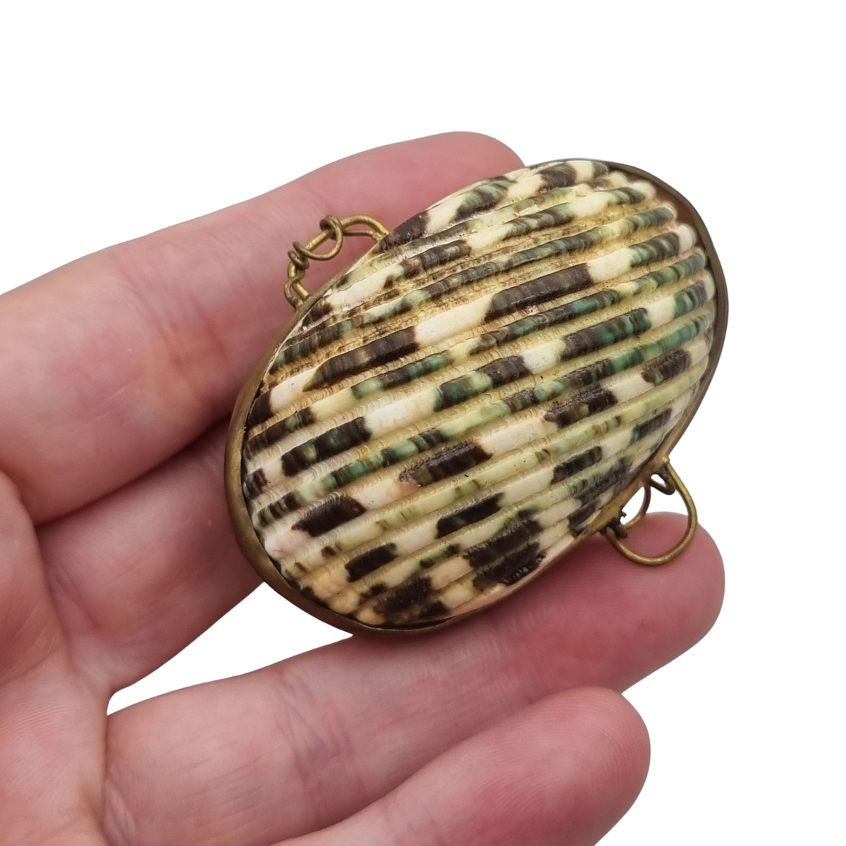 Vintage natural seashell coin purse with a gold-tone metal frame, Europe, first half of the 20th century