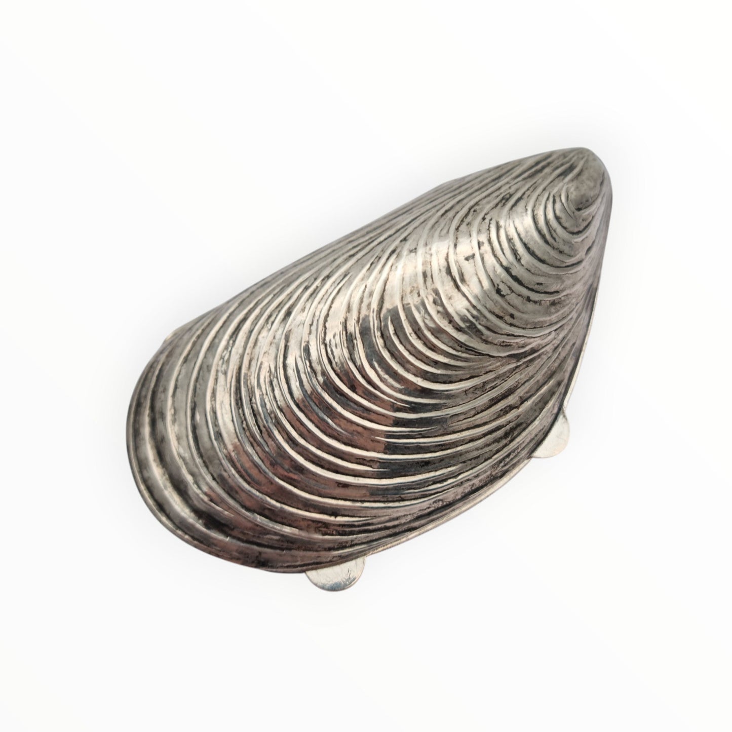 Vintage 800 silver mussel-shaped box for collectors. Italy 1980