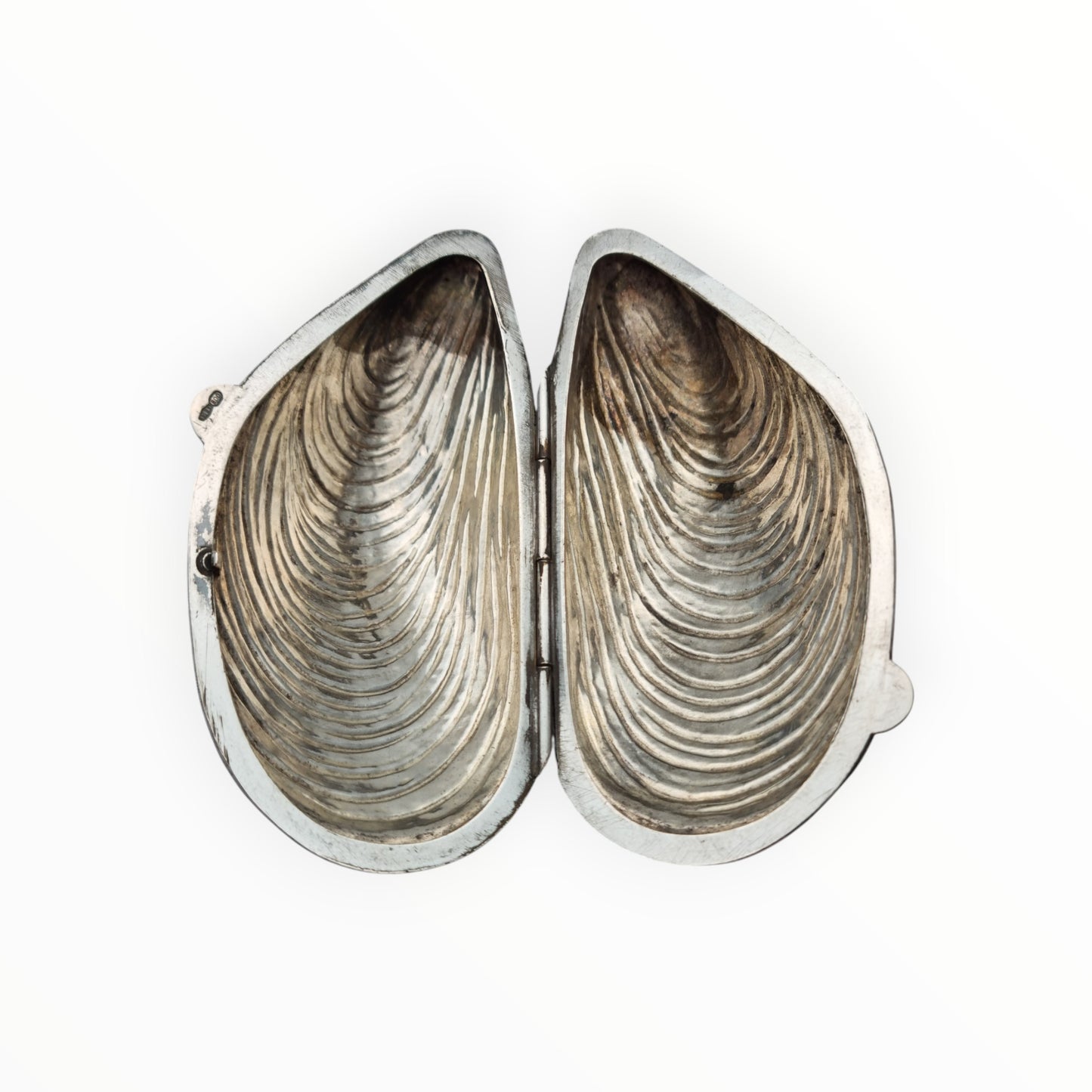 Vintage 800 silver mussel-shaped box for collectors. Italy 1980