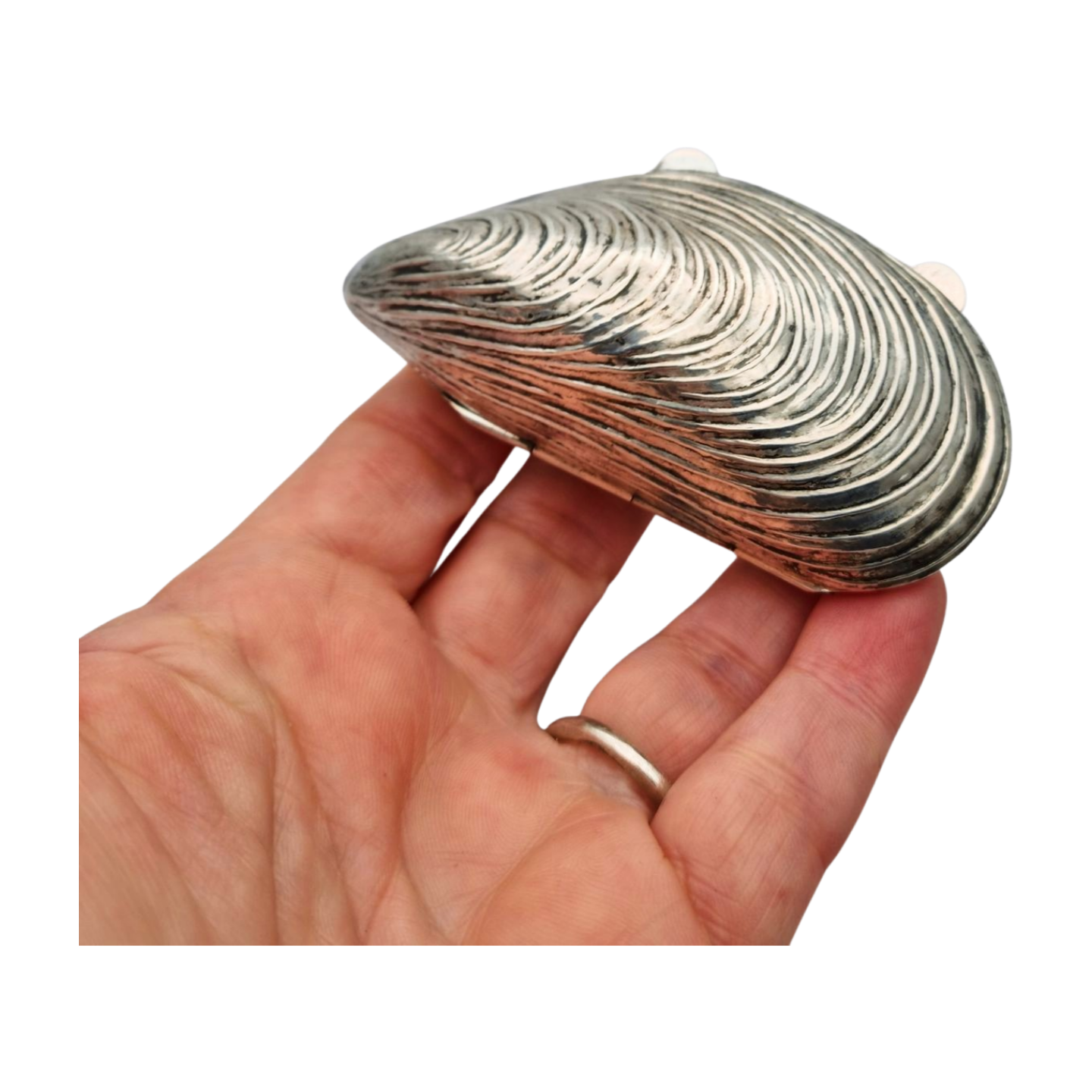 Vintage 800 silver mussel-shaped box for collectors. Italy 1980