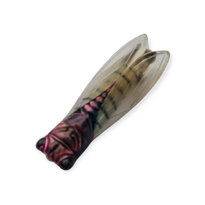 Broche de cigarra en lucite diseño provenzal, Francia circa 1940