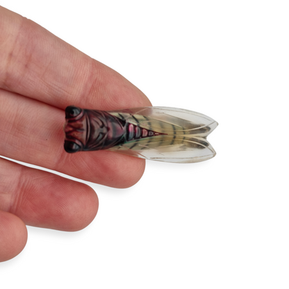 Broche de cigarra en lucite diseño provenzal, Francia circa 1940