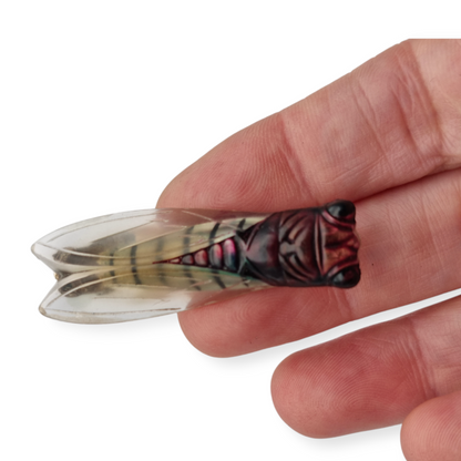 Broche de cigarra en lucite diseño provenzal, Francia circa 1940