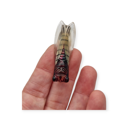 Broche de cigarra en lucite diseño provenzal, Francia circa 1940