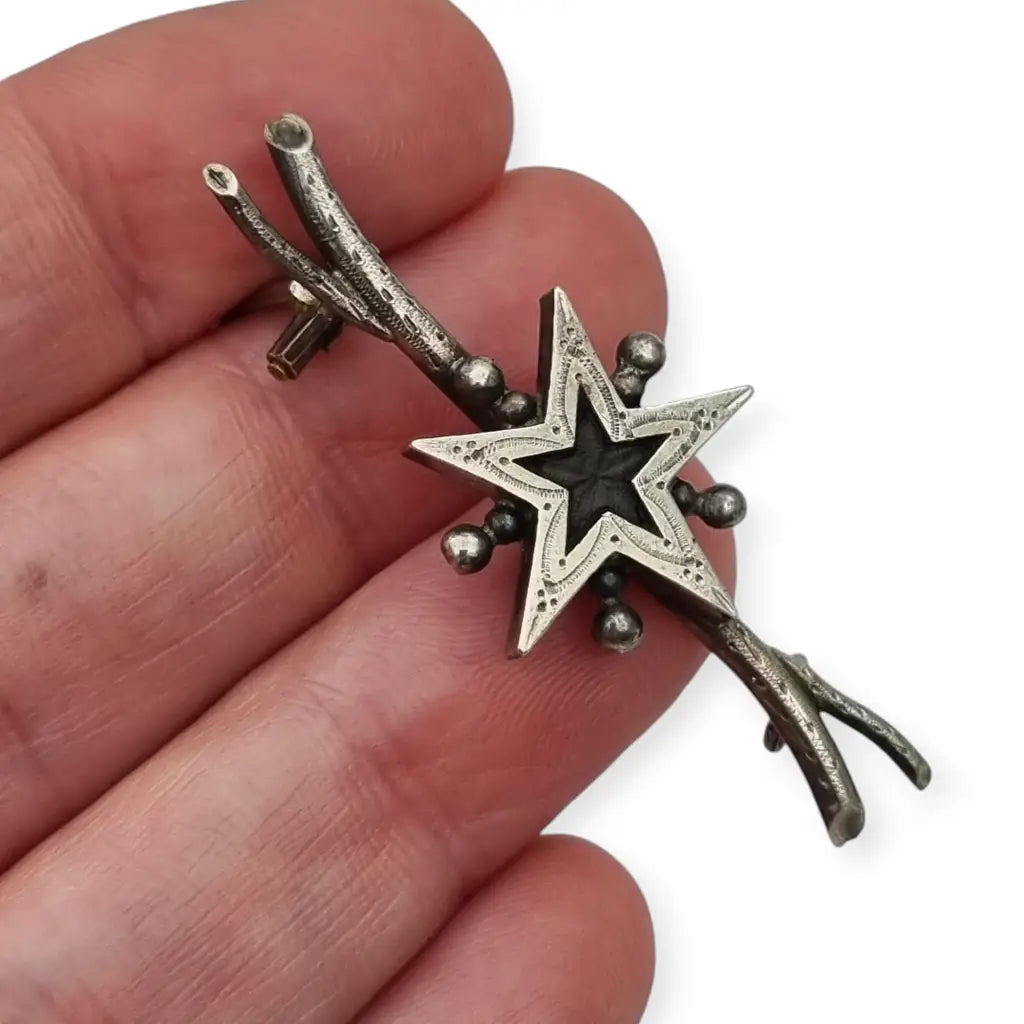 Broche de Plata con Estrella Pentacrina Engastada Digne-les-Bains Circa 1900.