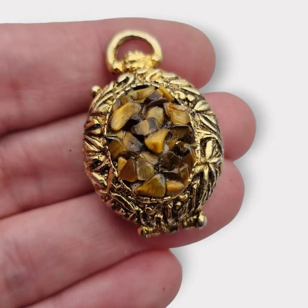 Colgante con foto medallón de oro ojo tigre la marca Hollywood