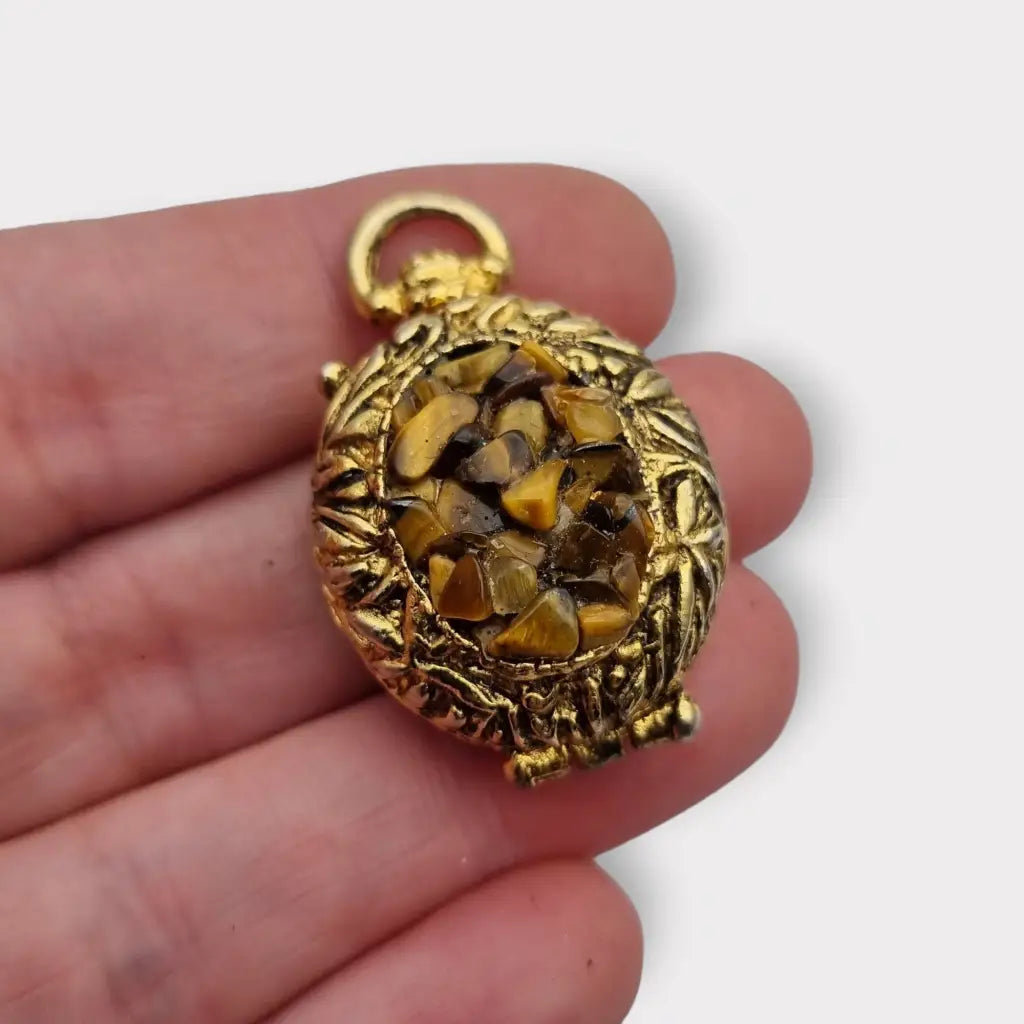 Colgante con foto medallón de oro ojo tigre la marca Hollywood