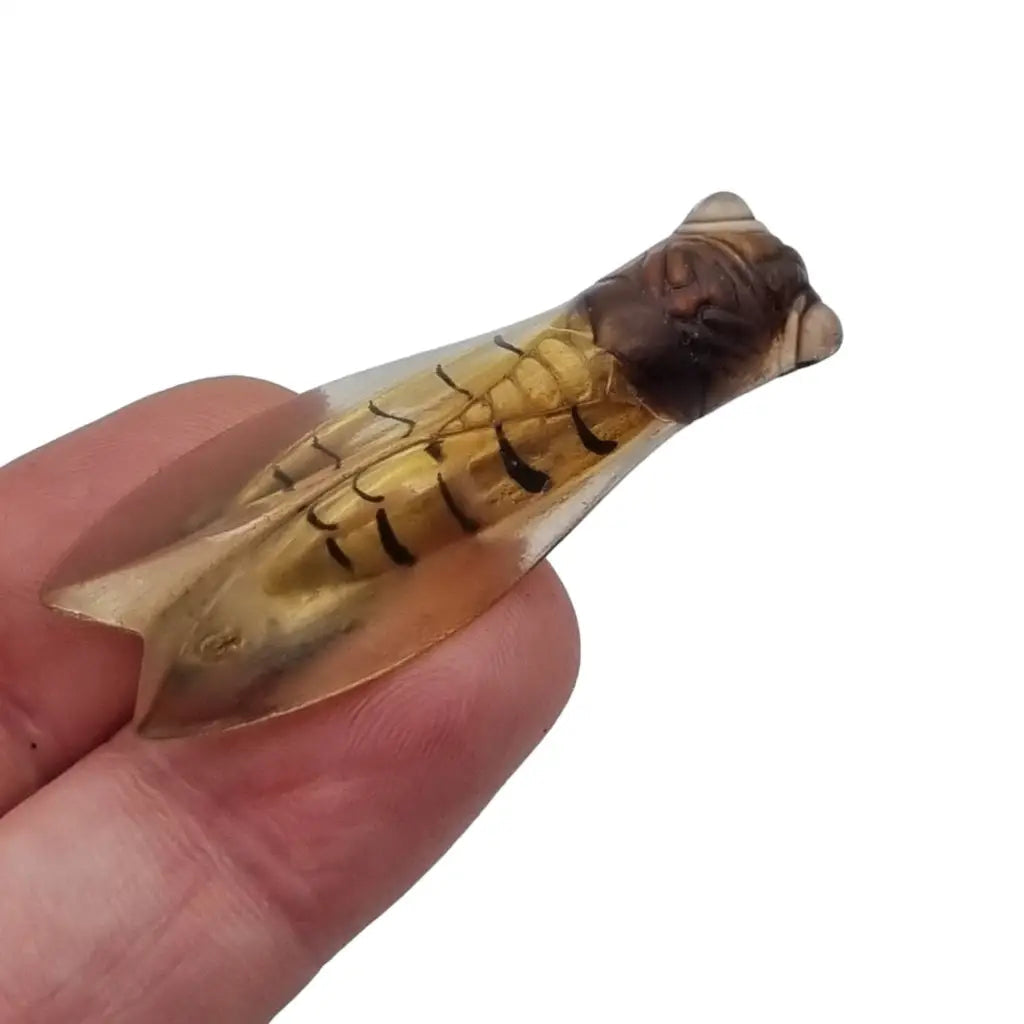Broche de cigarra francesa vintage para mujer años 20 joyería antigua